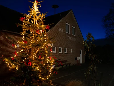 Tannenbaum vor dem Dörpshuus in der Dämmerung